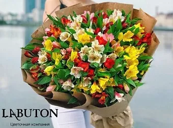 Букет альстромерии 25 шт